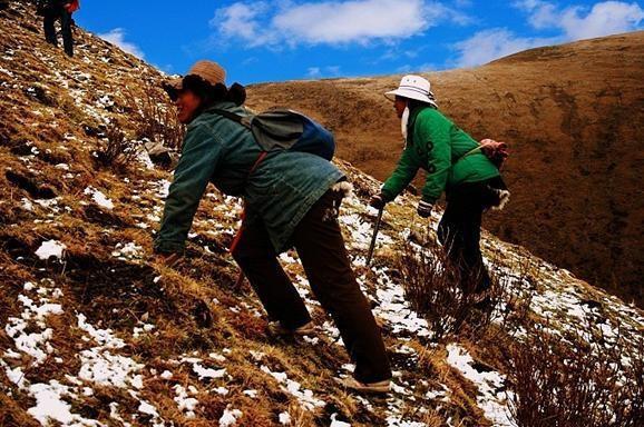穿越3000公里去尋找光明 8朵“格?;ā苯K在普瑞眼科明媚盛