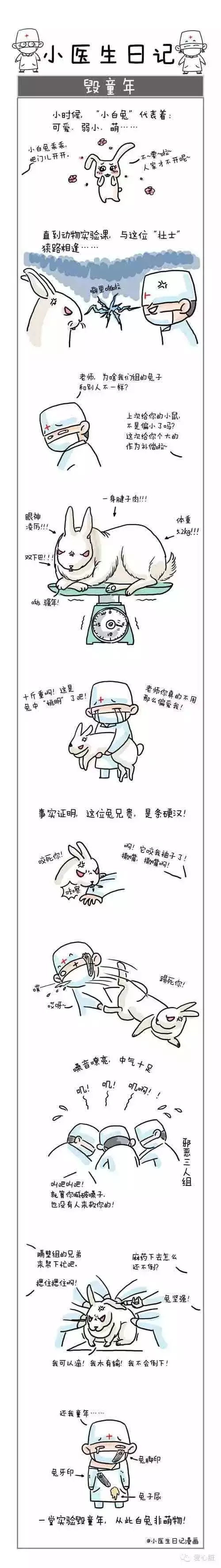 小醫(yī)生成長日記