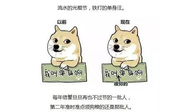 【11.11】脫單秘籍，看這里，看這里，看這里……