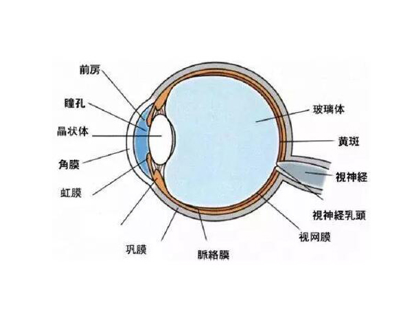 小心！高溫性眼灼傷