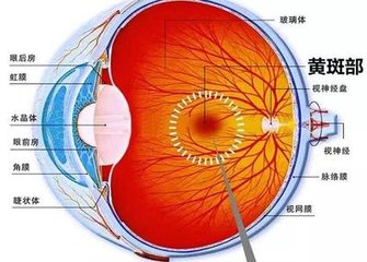 【科普】老年性黃斑變性可以治好嗎？